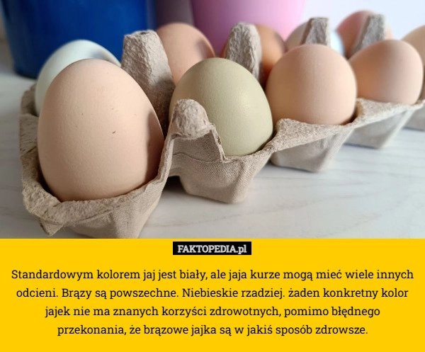 
    Standardowym kolorem jaj jest biały, ale jaja kurze mogą mieć wiele innych