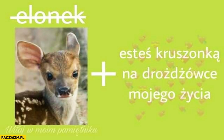 
    Rebus jelonek jesteś kruszonką na drożdżówce mojego życia
