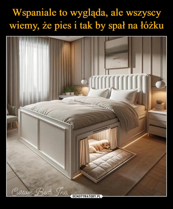 
    Wspaniale to wygląda, ale wszyscy wiemy, że pies i tak by spał na łóżku