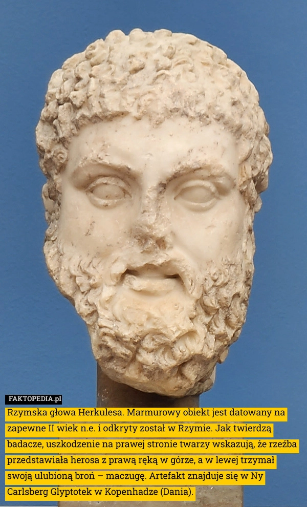 
    Rzymska głowa Herkulesa. Marmurowy obiekt jest datowany na zapewne II wiek
