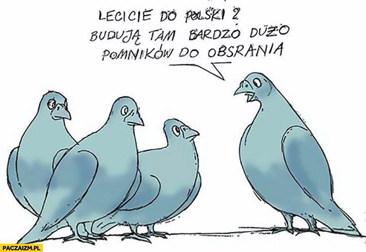 
    Lecicie do Polski? Budują tam bardzo dużo pomników do obsrania. Gołębie