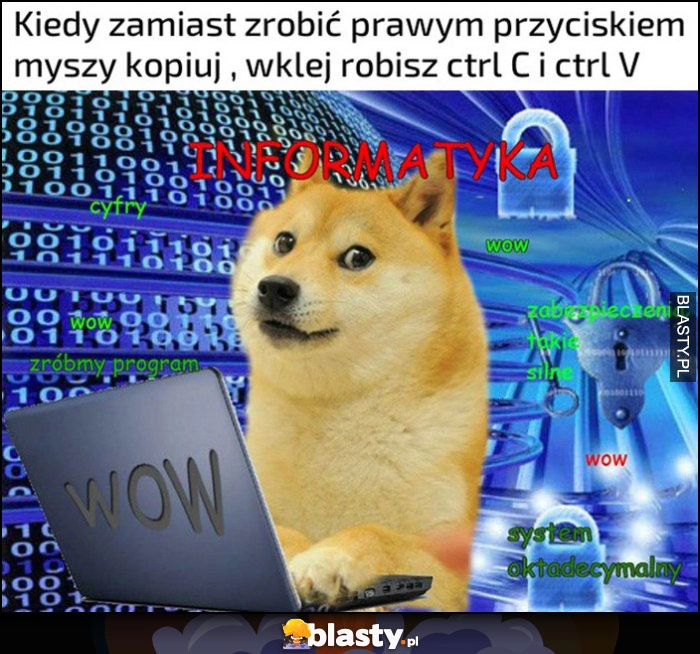 
    Kiedy zamiast zrobić prawym przyciskiem myszy kopiuj-wklej robisz ctrl-c i ctrl-v much wow informatyka pies pieseł doge