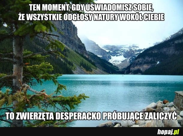 
    Natura jest niesamowita