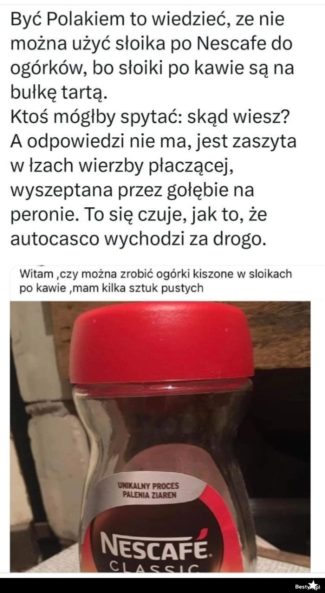 
    Polska i Polacy 