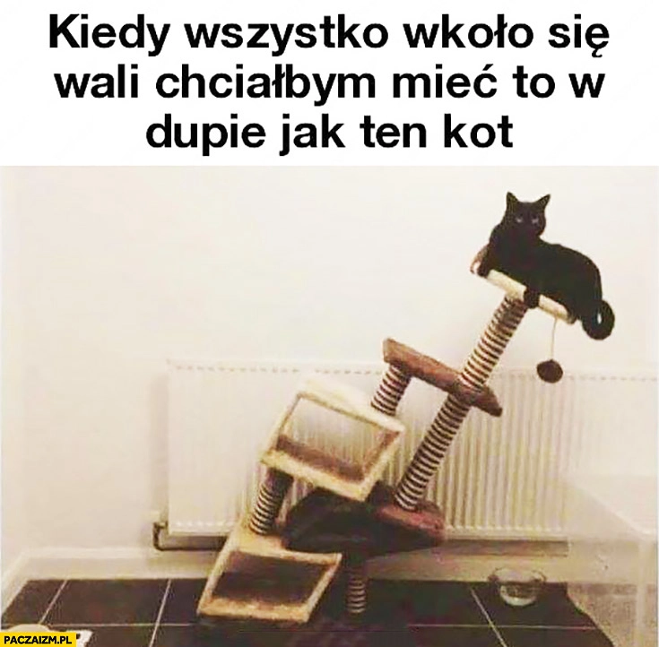 
    Kiedy wszystko wkoło się wali chciałbym mieć to w dupie jak ten kot