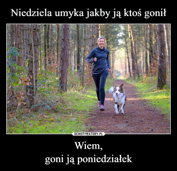 
    Niedziela umyka jakby ją ktoś gonił Wiem,
goni ją poniedziałek