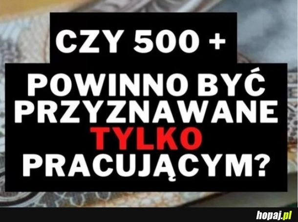 
    Patologiczny socjal czy realna pomoc