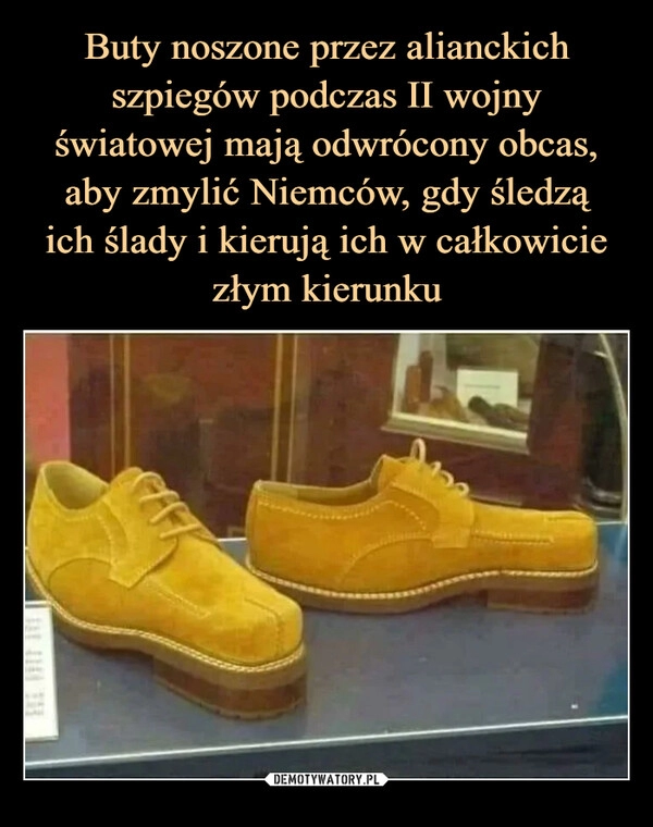 
    Buty noszone przez alianckich szpiegów podczas II wojny światowej mają odwrócony obcas, aby zmylić Niemców, gdy śledzą
ich ślady i kierują ich w całkowicie
złym kierunku