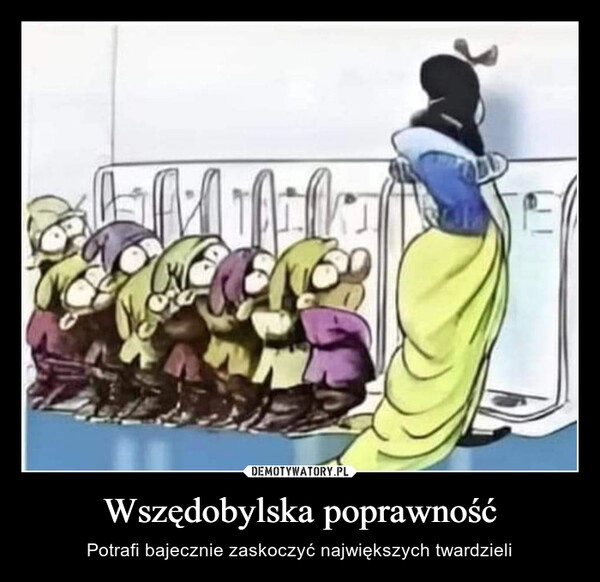 
    Wszędobylska poprawność