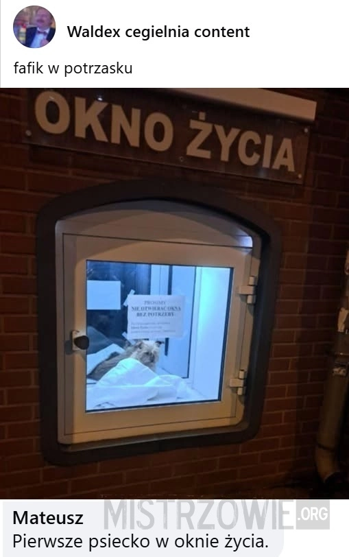 
    Okno