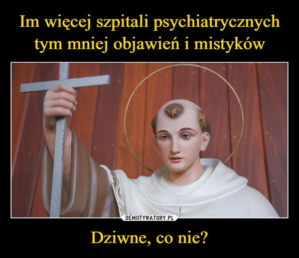 
    Im więcej szpitali psychiatrycznych tym mniej objawień i mistyków Dziwne, co nie?