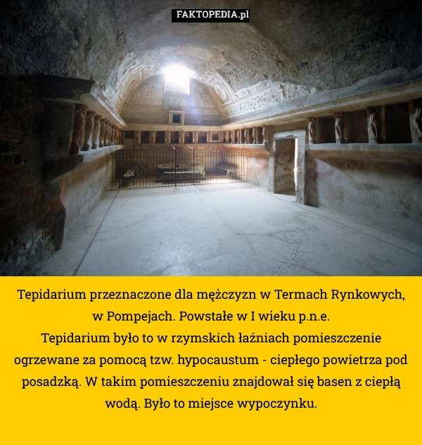 Tepidarium przeznaczone dla mężczyzn w Termach Rynkowych, w