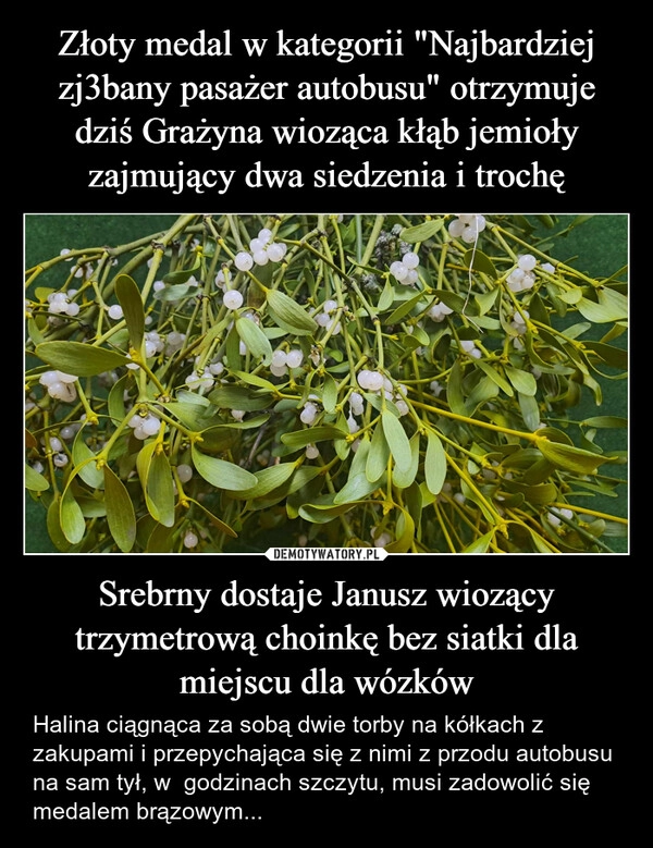 
    Złoty medal w kategorii "Najbardziej zj3bany pasażer autobusu" otrzymuje dziś Grażyna wioząca kłąb jemioły zajmujący dwa siedzenia i trochę Srebrny dostaje Janusz wiozący trzymetrową choinkę bez siatki dla miejscu dla wózków