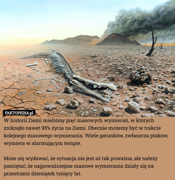 W historii Ziemi mieliśmy pięć masowych wymierań, w których zniknęło nawet