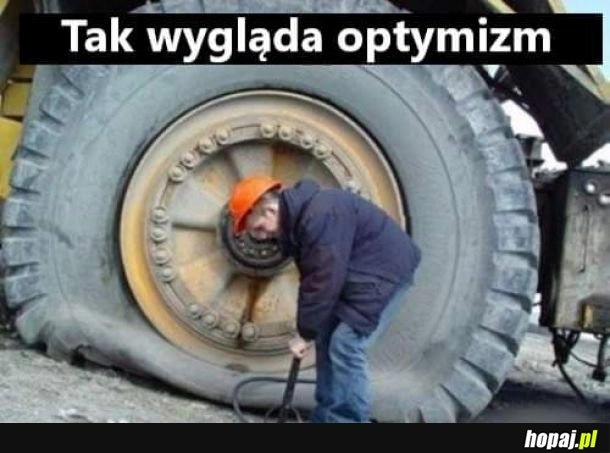 
    Optymista