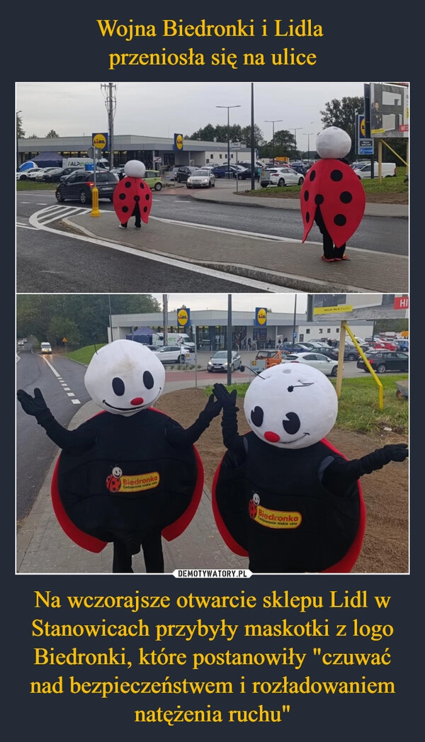 
    Wojna Biedronki i Lidla 
przeniosła się na ulice Na wczorajsze otwarcie sklepu Lidl w Stanowicach przybyły maskotki z logo Biedronki, które postanowiły "czuwać nad bezpieczeństwem i rozładowaniem natężenia ruchu"