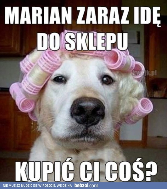 
    Idę do sklepu, chcesz coś?