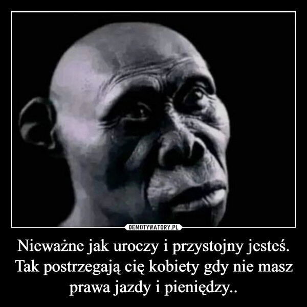 
    Nieważne jak uroczy i przystojny jesteś. Tak postrzegają cię kobiety gdy nie masz prawa jazdy i pieniędzy..