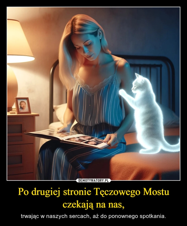 
    Po drugiej stronie Tęczowego Mostu czekają na nas,