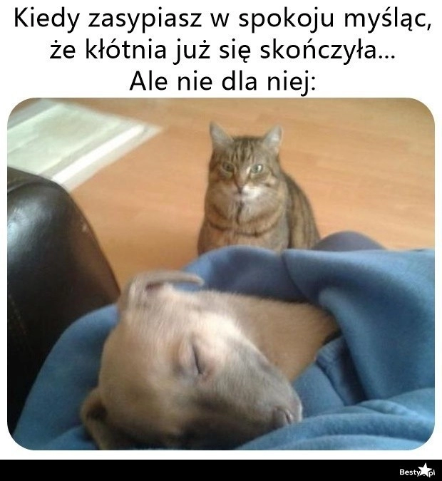 
    Zaraz nastąpi kontynuacja 