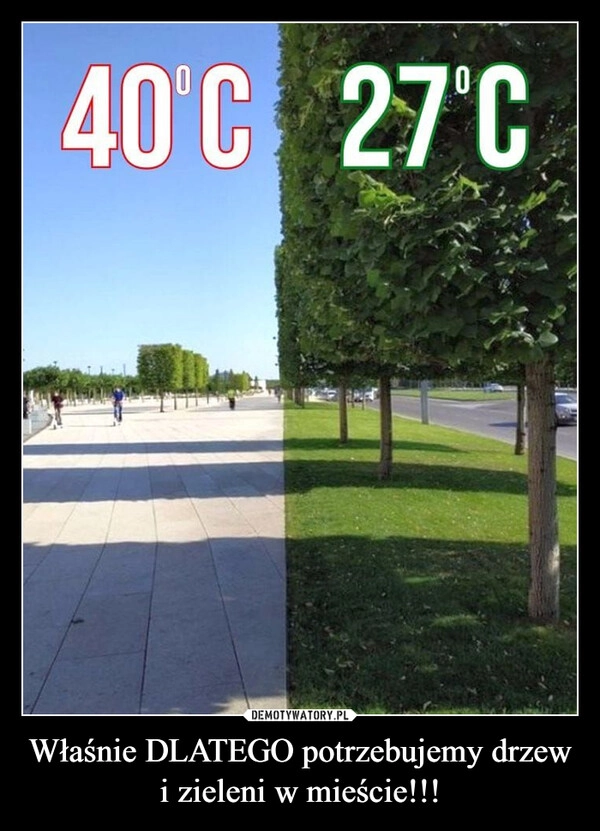 
    Właśnie DLATEGO potrzebujemy drzew i zieleni w mieście!!!