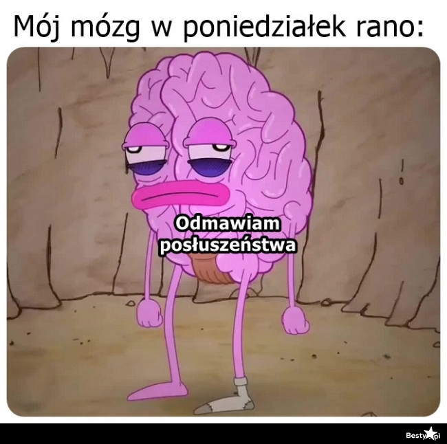 
    Poniedziałek 