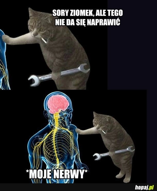 
    Nie da się