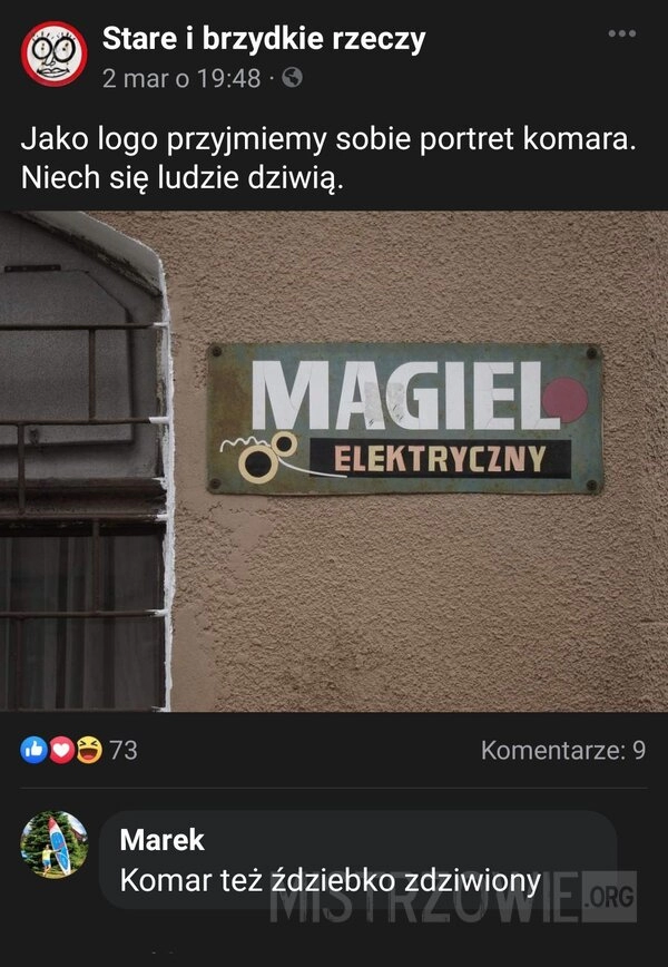 
    Magiel elektryczny