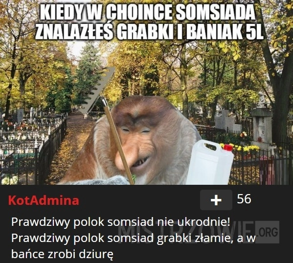 
    
			Wszystkich świętych					