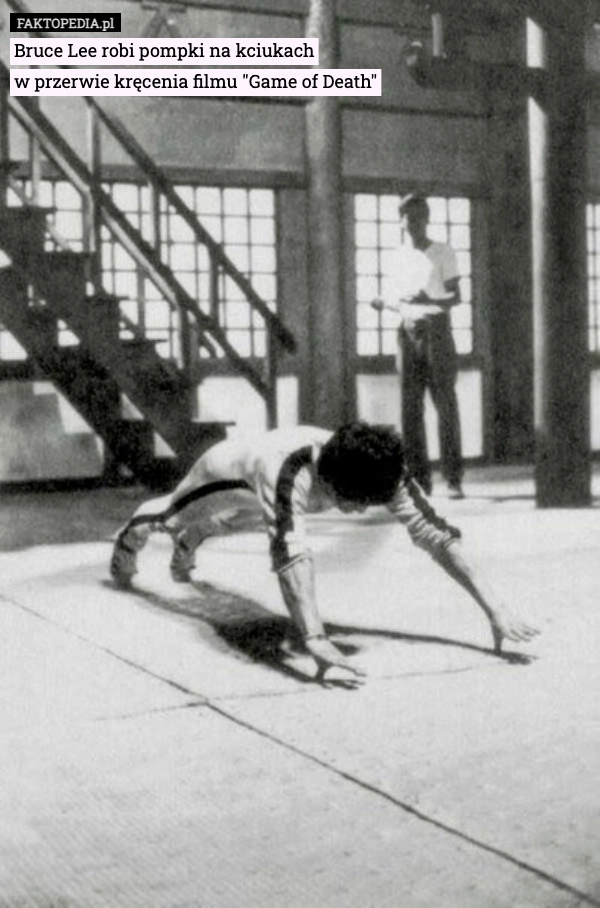 
    Bruce Lee robi pompki na kciukach
w przerwie kręcenia filmu "Game of