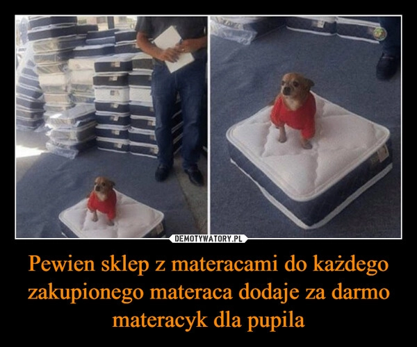 
    Pewien sklep z materacami do każdego zakupionego materaca dodaje za darmo materacyk dla pupila