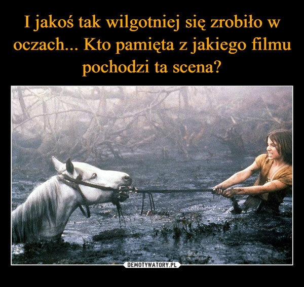 
    I jakoś tak wilgotniej się zrobiło w oczach... Kto pamięta z jakiego filmu pochodzi ta scena?