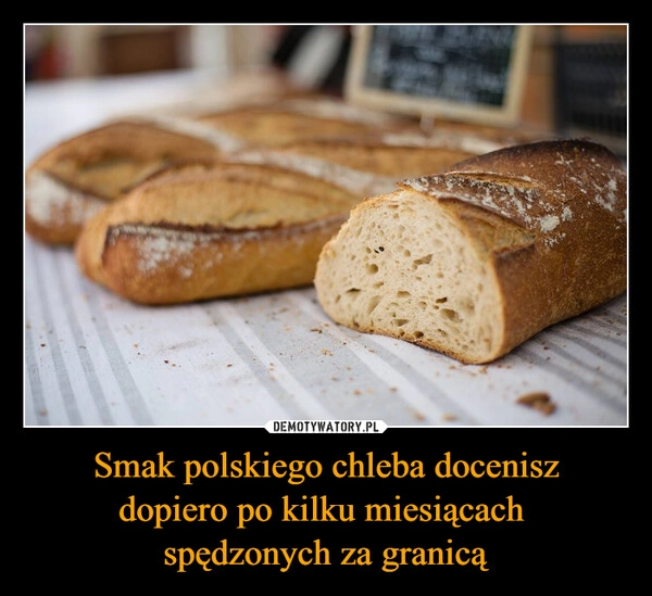 
    Smak polskiego chleba docenisz
dopiero po kilku miesiącach 
spędzonych za granicą