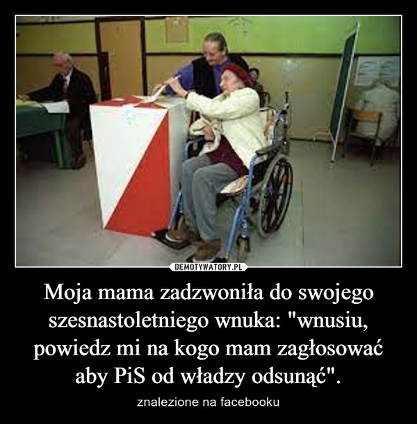 
    Moja mama zadzwoniła do swojego szesnastoletniego wnuka: "wnusiu, powiedz mi na kogo mam zagłosować aby PiS od władzy odsunąć".