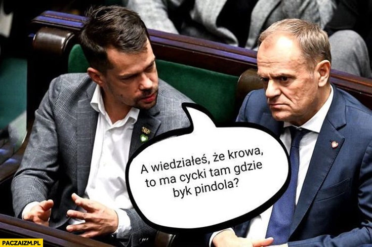 
    Kołodziejczak do Tuska a wiedziałeś, że krowa to ma wymiona tam gdzie byk przyrodzenie?