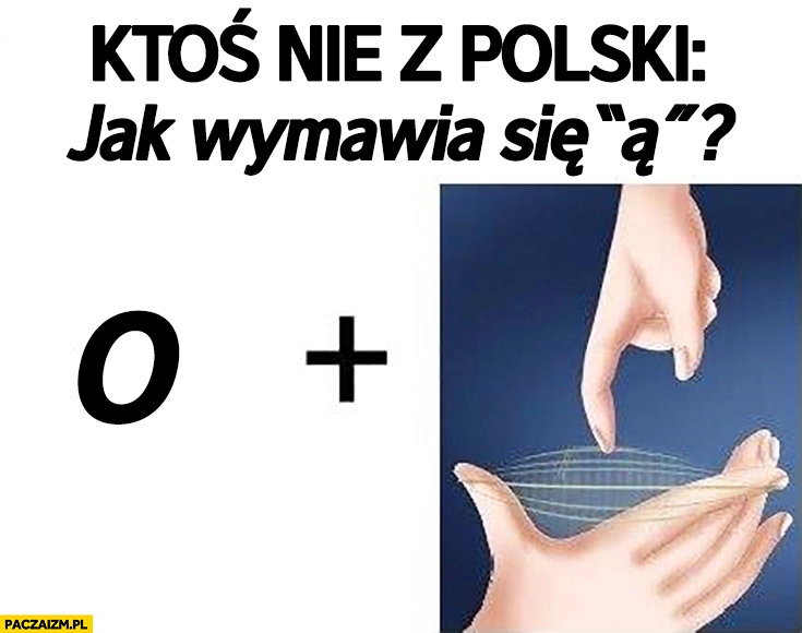 
    Ktoś nie z Polski: jak wymawia się ą? O plus dźwięk cięciwy
