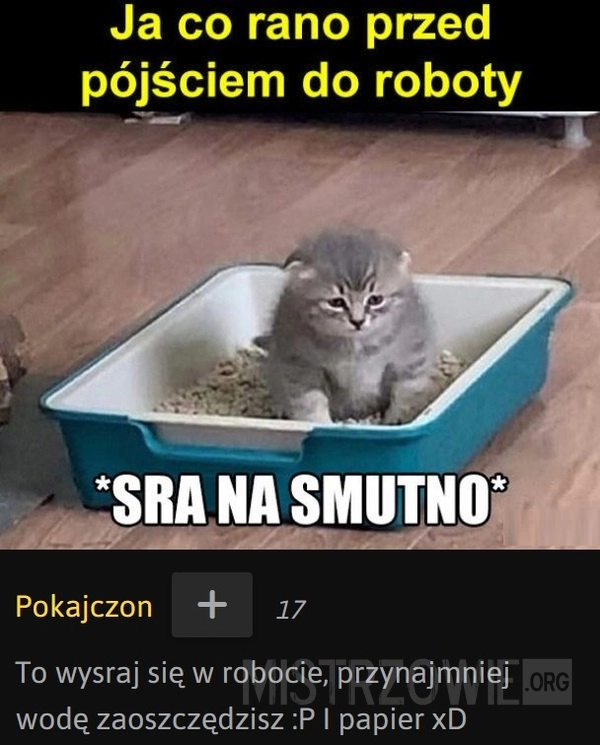 
    
			Codzienność					