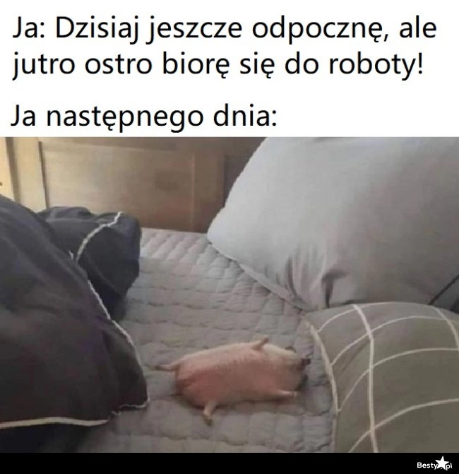 
    Jutro wszystko zrobię 