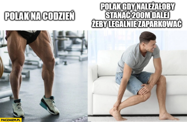 
    Polak na co dzień przypakowane nogi polak gdy należałoby stanąć 200 metrów dalej żeby legalnie zaparkować ból nogi