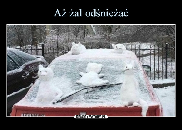 
    Aż żal odśnieżać