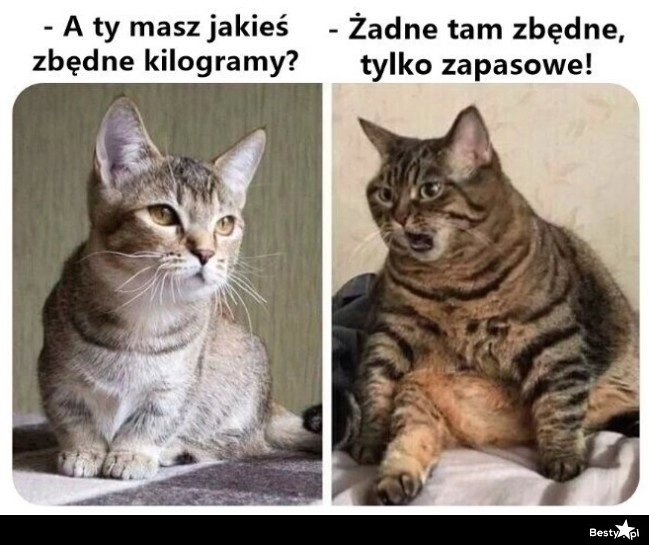 
    Tak dla jasności 