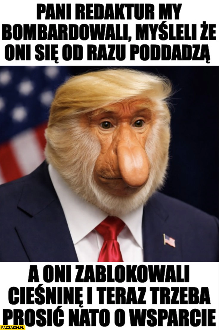 
    Trump nosacz: pani redaktur my bombardowali myśleli, że oni się od razu poddadzą a oni zablokowali cieśninę i teraz trzeba prosić NATO o wsparcie