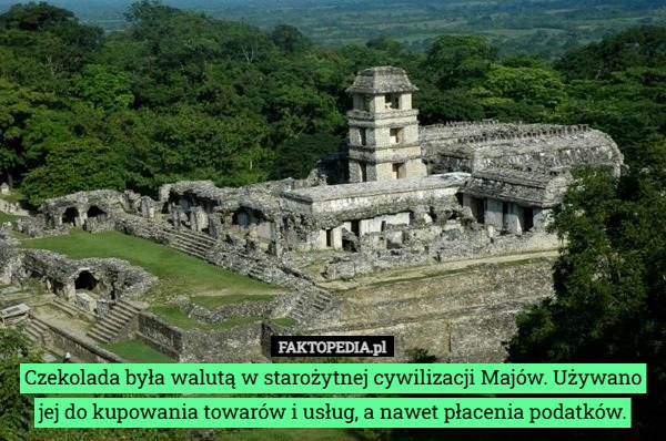 
    Czekolada była walutą w starożytnej cywilizacji Majów. Używano jej do kupowania