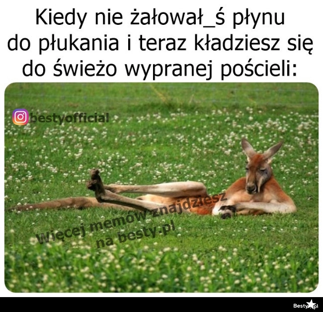 
    Ten zapach, ta świeżość! I pół butelki mniej płynu