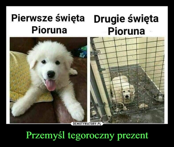 
    Przemyśl tegoroczny prezent