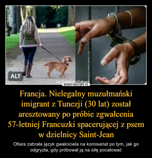 
    Francja. Nielegalny muzułmański imigrant z Tunezji (30 lat) został aresztowany po próbie zgwałcenia 57-letniej Francuzki spacerującej z psem w dzielnicy Saint-Jean