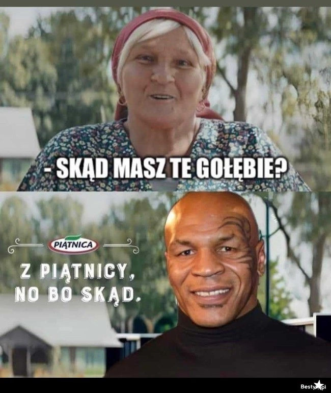 
    Gołębie z Piątnicy 