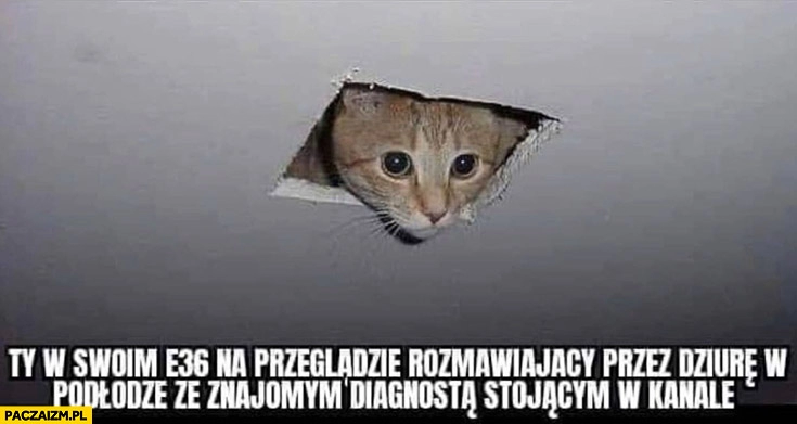 
    Ty w swoim bmw E36 na przeglądzie rozmawiający przez dziurę w podłodze ze znajomym diagnostą stojącym w kanale