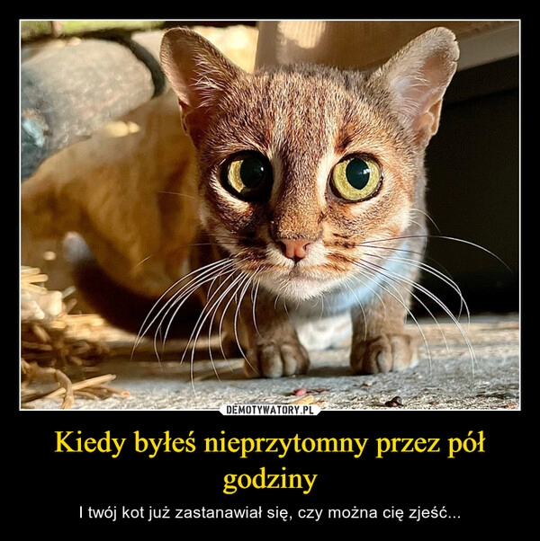 
    Kiedy byłeś nieprzytomny przez pół godziny