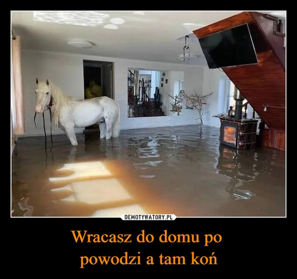 
    Wracasz do domu po 
powodzi a tam koń